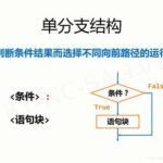 python 单分支结构