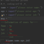 python 函数占位符