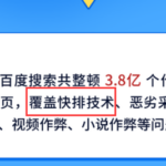 只有做SEO快排生意的人，才会说快排有多好