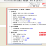 oracle安装使用教程