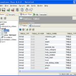 使用MySQL XE8进行高效数据管理