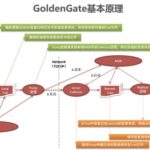 oracle数据库ogg是什么