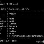 MySQL中使用set 命令操作变量
