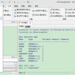 命令窗口连接oracle数据库