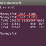 linux命令查看端口是否开启
