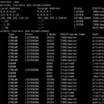 linux查看端口占用情况可以使用什么命令