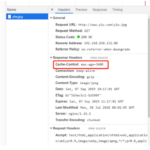 nginx 静态页面缓存