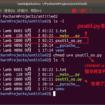 执行python.py文件