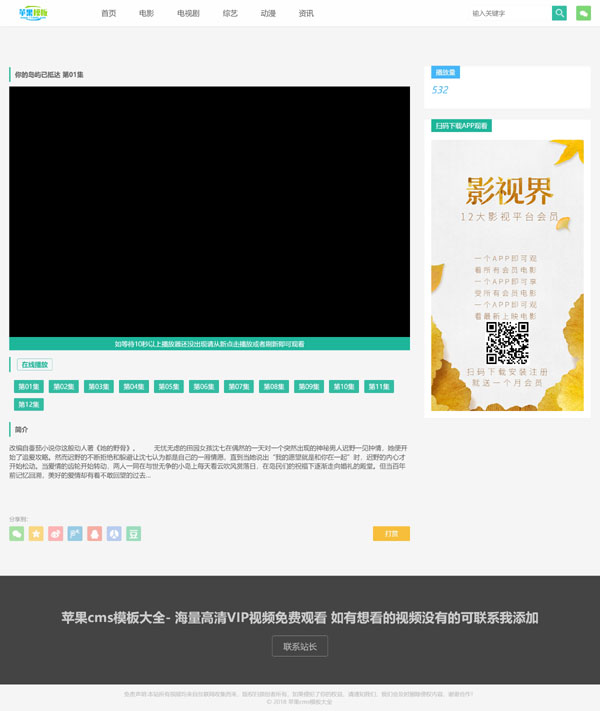 青色养眼x站/电影站自适应模板2号下载