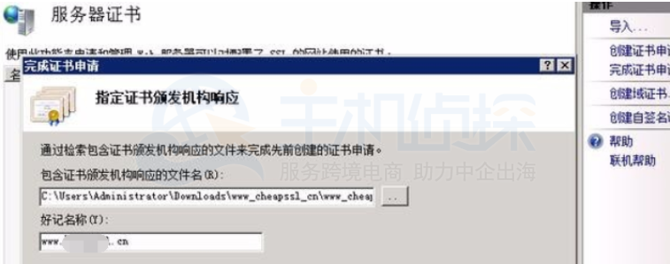 输入网站域名