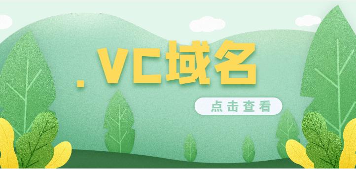 vc域名